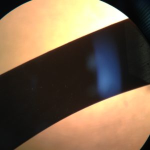 QDP shim micrograph
